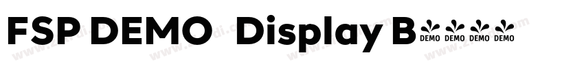 FSP DEMO   Display B字体转换